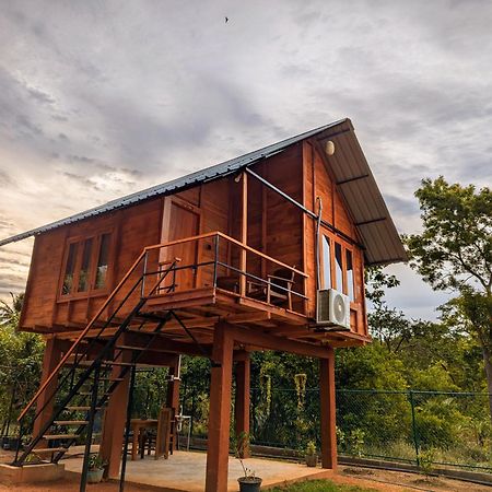 Lion Wood Treehouse Villa Talkote Dış mekan fotoğraf