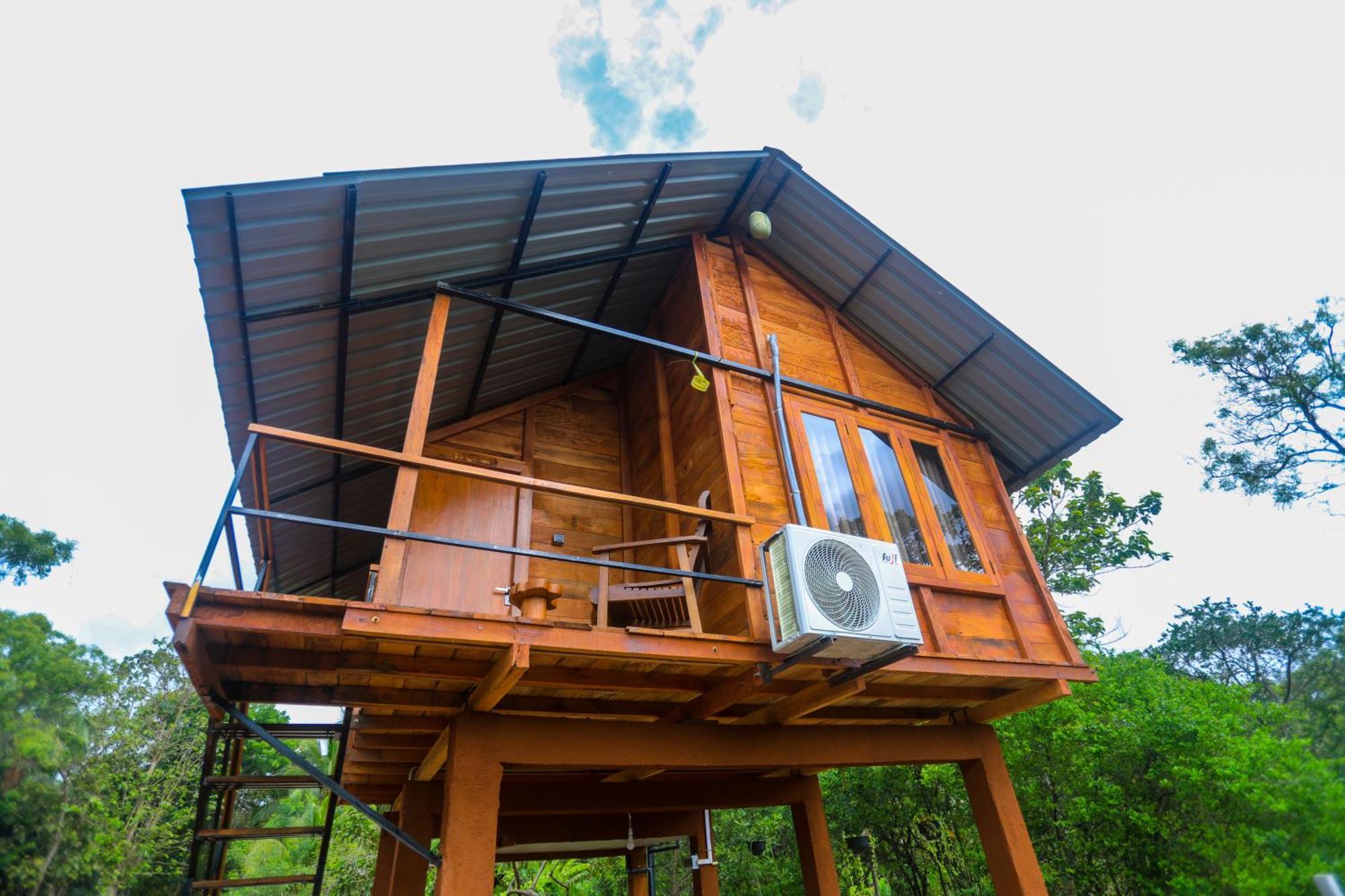 Lion Wood Treehouse Villa Talkote Dış mekan fotoğraf