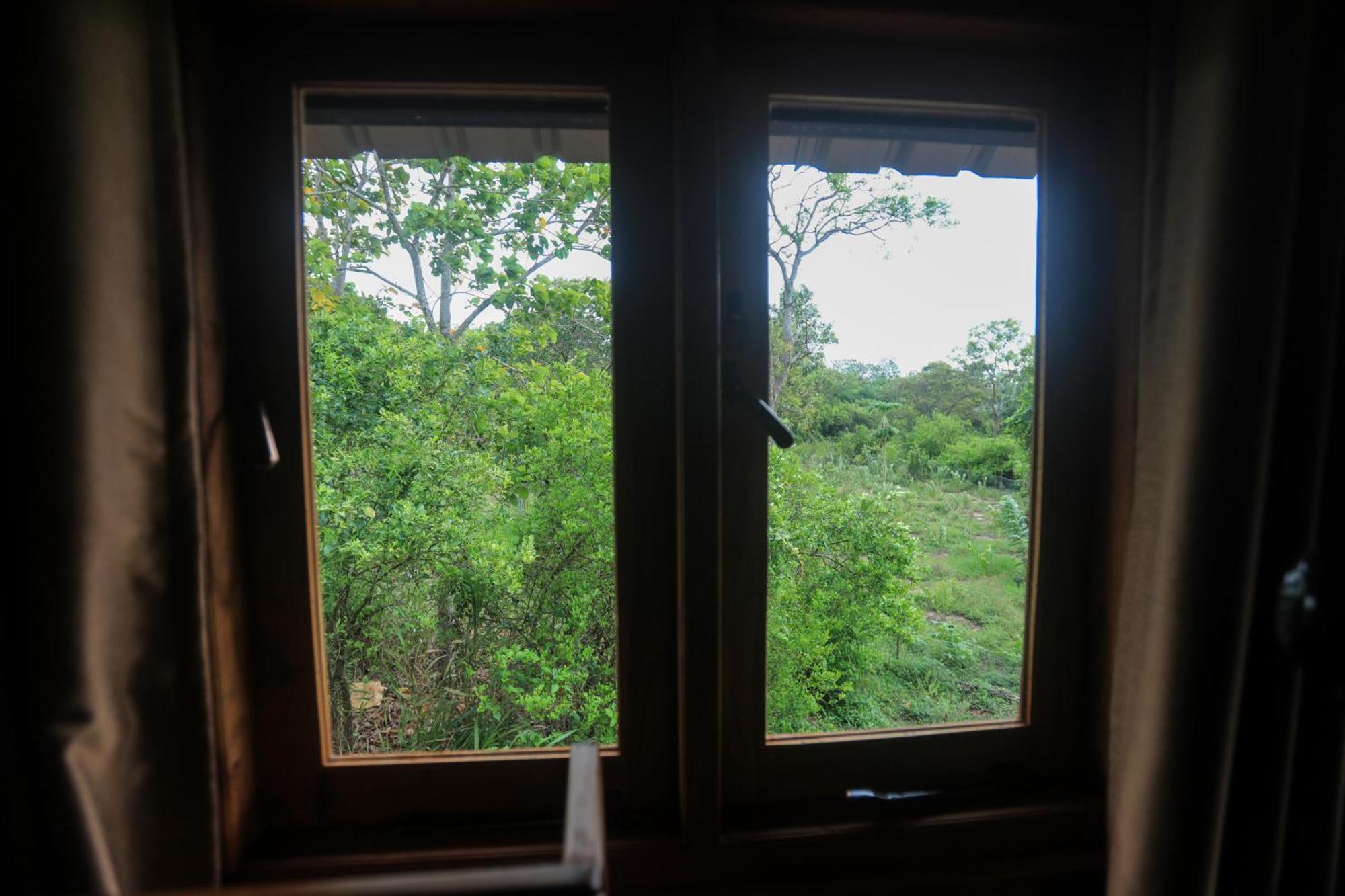 Lion Wood Treehouse Villa Talkote Dış mekan fotoğraf