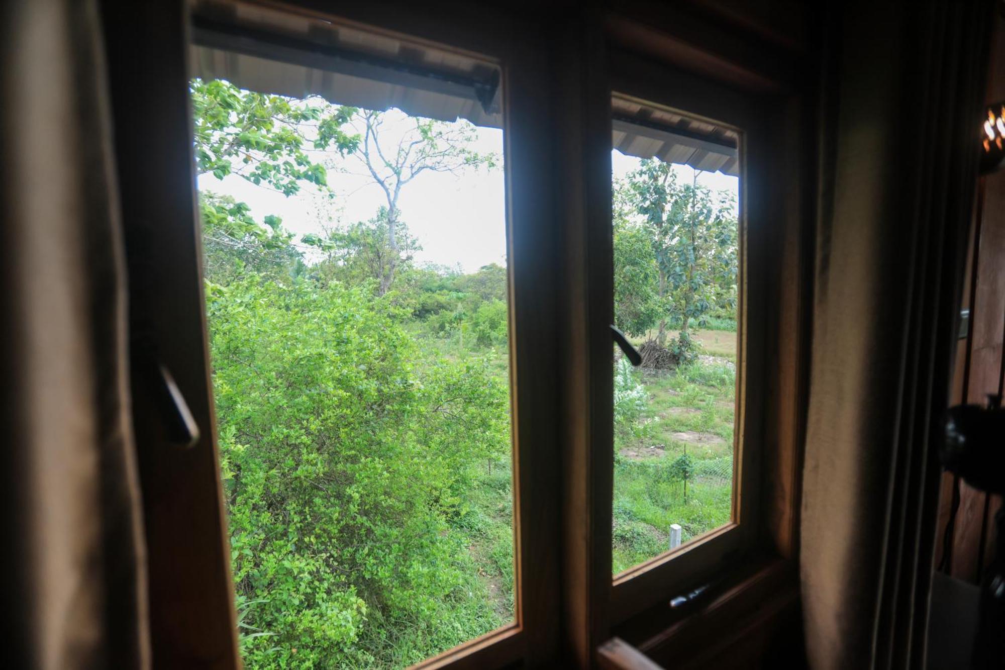 Lion Wood Treehouse Villa Talkote Dış mekan fotoğraf