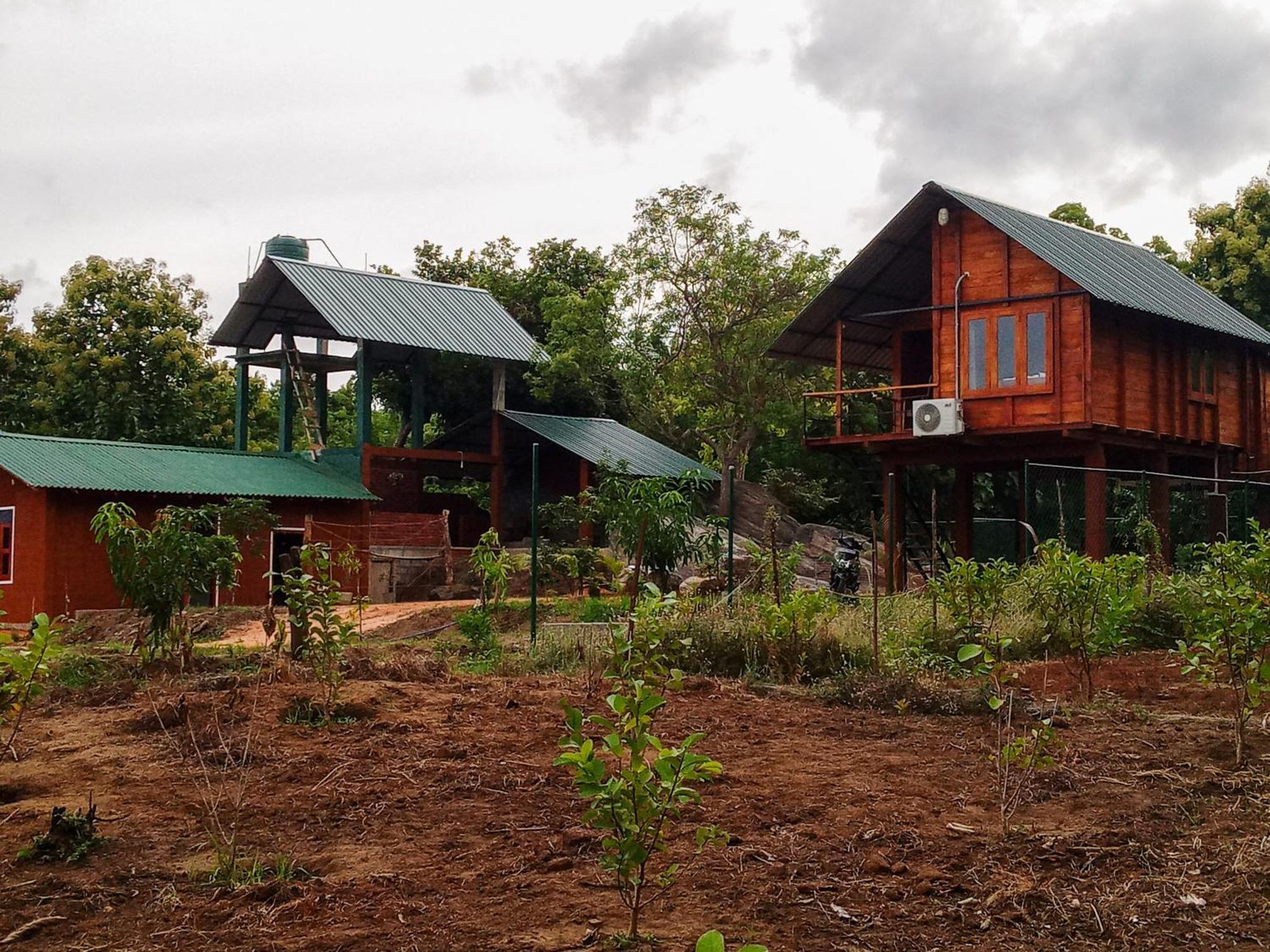Lion Wood Treehouse Villa Talkote Dış mekan fotoğraf
