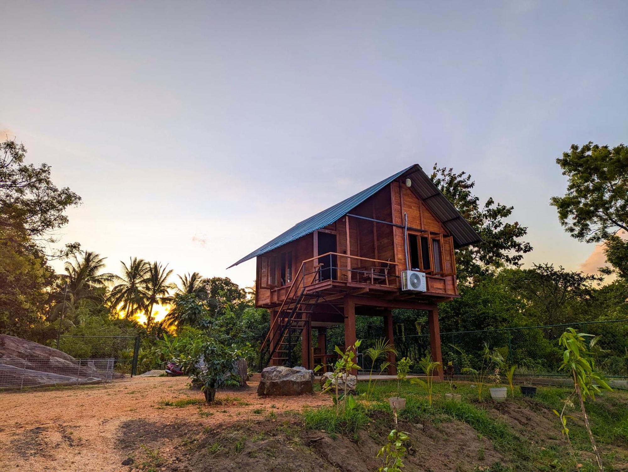 Lion Wood Treehouse Villa Talkote Dış mekan fotoğraf