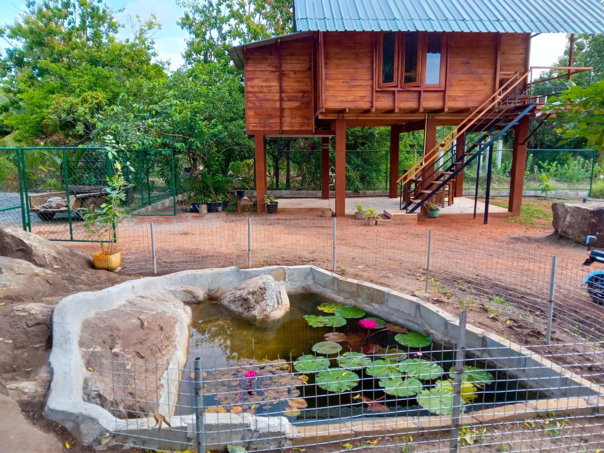 Lion Wood Treehouse Villa Talkote Dış mekan fotoğraf