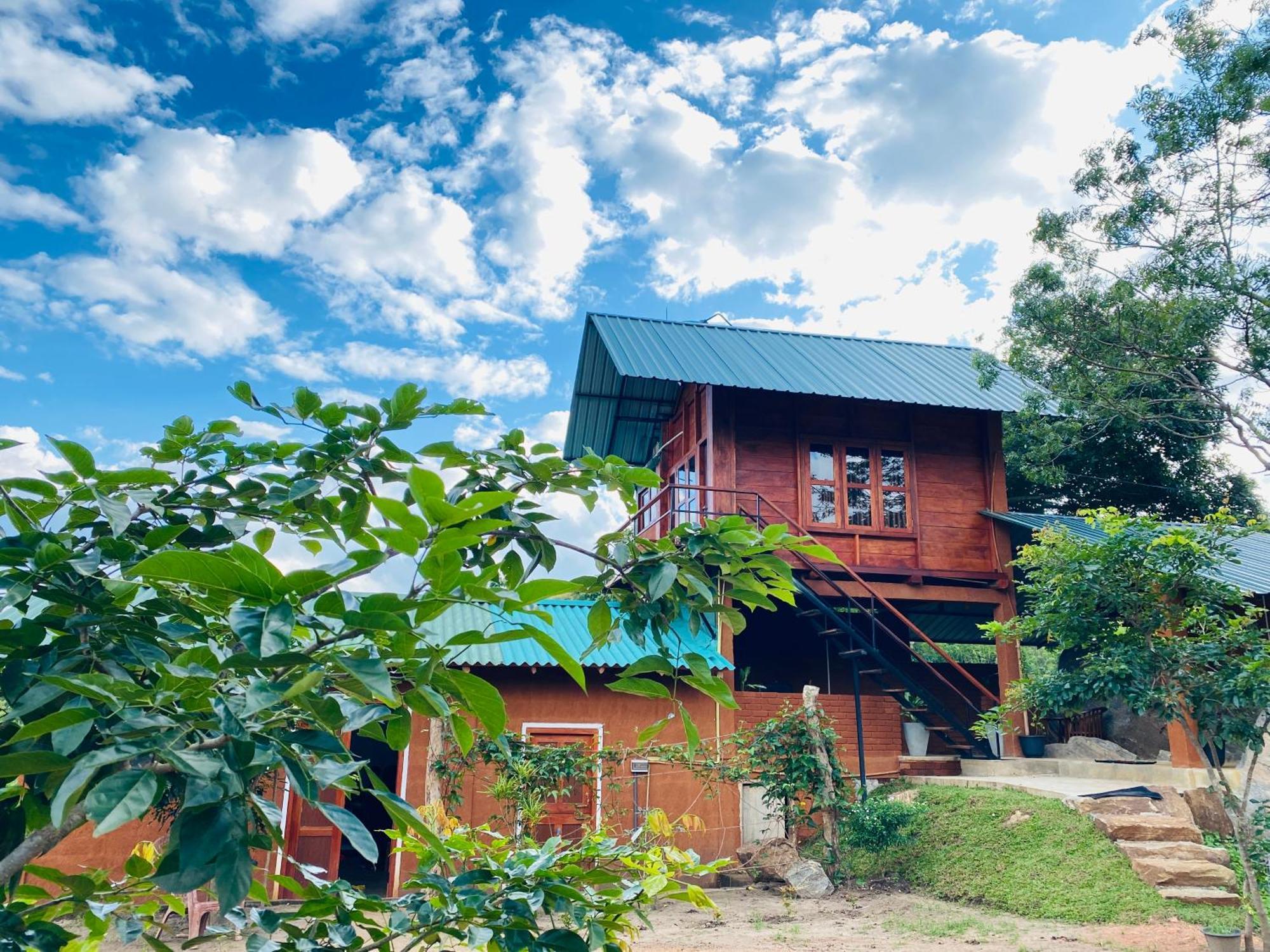 Lion Wood Treehouse Villa Talkote Dış mekan fotoğraf